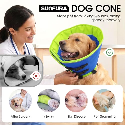 Dog Cone Collar (Blue / Small)