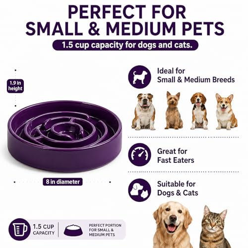 Ceramic Slow Feeder Dog Bowl (Purple)