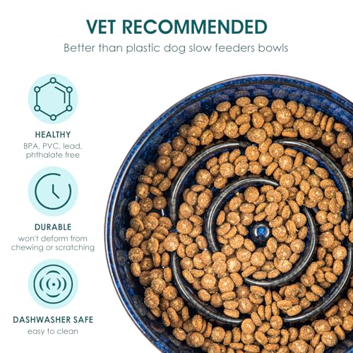 Slow Feeder Dog Bowl (S - 0.6 Cups / Blue)
