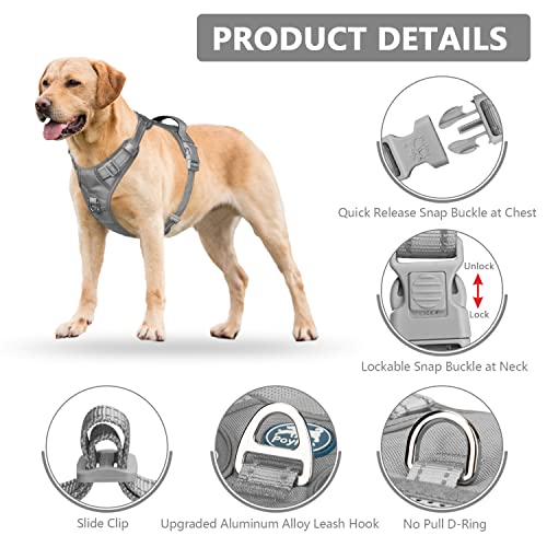 No Pull Dog Harness (S / Grey(Matching Trim))
