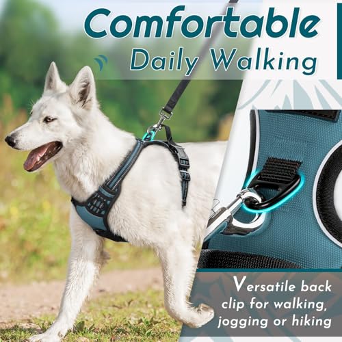 Dog Harness for Small Dogs (Small / Dark Green)