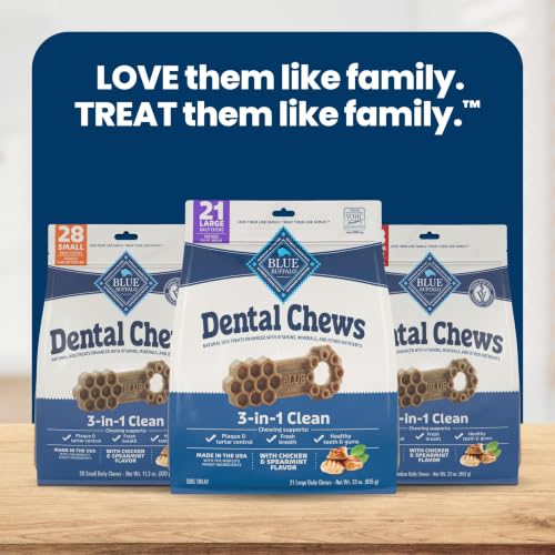 Chicken & Spearmint Large Dental Chews (33 Ounce (Pack of 1))