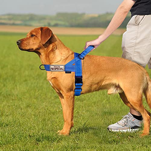 No Pull Dog Harness with Soft Padded Handle (XS / Blue)