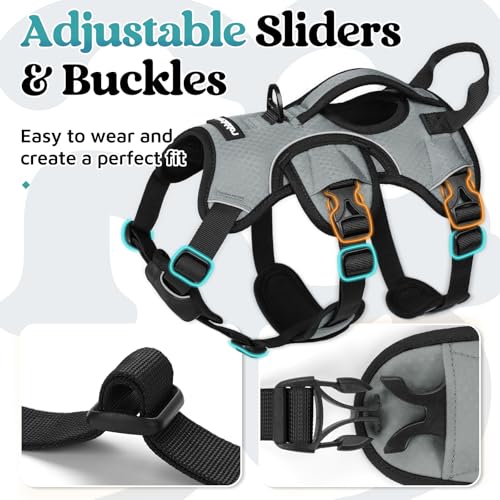 Escape Proof Dog Harness for Small (Grey / Small)