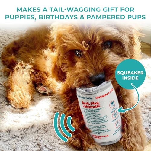 Puppi Plush Dog Toy (Puppi Solda Grrranberry Fizz (White, Red))