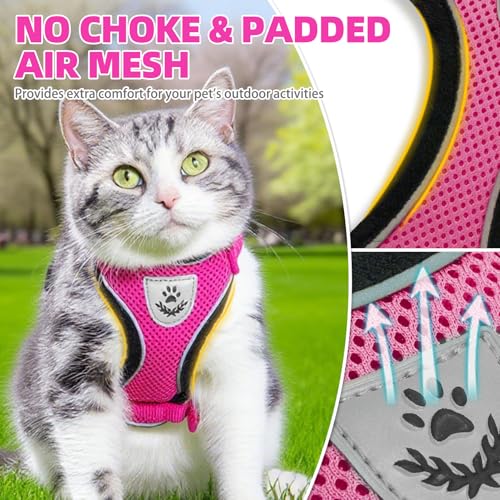 Cat Harness and Leash Set Escape Proof Reflective Cat Walking Harness Adjustable Soft Breathable Mesh Vest for Small Pets (M (NECK 11"-13.7", CHEST 16"-20") / Deep Pink)