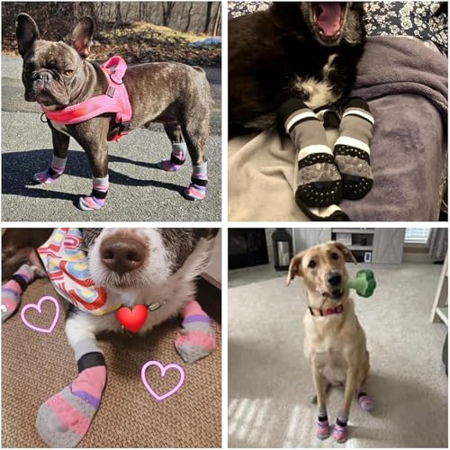 Anti Slip Dog Socks for Hot (Pink & Purple / X-Large)