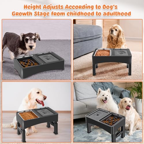 3-in-1 Elevated Dog Bowls with 4 Height Adjustable Raised Stand (Black)