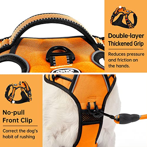 No Pull Dog Harness for Small Dogs (Orange / Small)