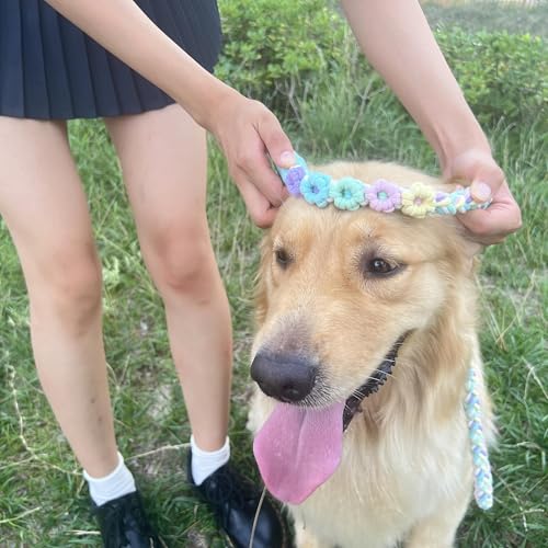 5FT Braided Cotton Rope Leash for Small (Rainbow Color)