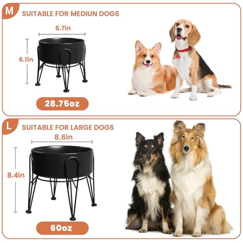 Elevated Dog Bowls (Black / 3.6 Cups | 2 Pack | For Medium Dogs)