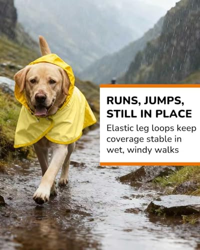 Waterproof Dog Raincoat with Hood (Small / Yellow)