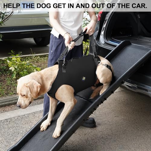 Dog Lift Harness (Medium / Black)