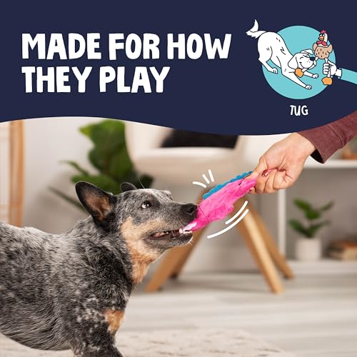 Just For Me Gators Squeaky Plush Dog Toy