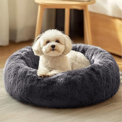 Dog & Cat Bed (20" / Dark Grey)