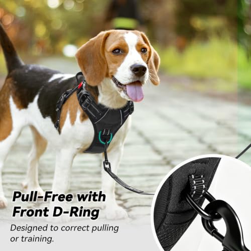 No Pull Dog Harness Small with Front Clip & Neck Release Buckle (XS / Black)