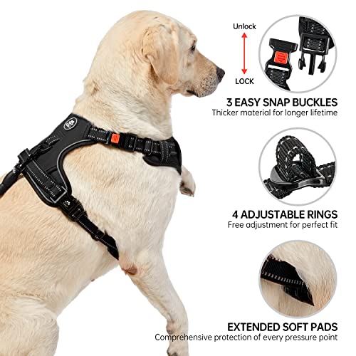 Dog Harness for Small Sized Dog (Black / Small)
