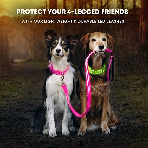 LED Light Up Dog Leash (4 Feet / Cotton Candy Pink)