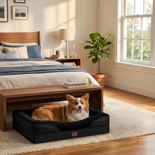 Orthopedic Dog Bed for Medium Dog (Black / 30x20x6.5)