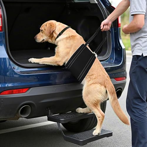 Adjustable Dog Sling Dog Lift Harness Hind Leg Support (Black / M)