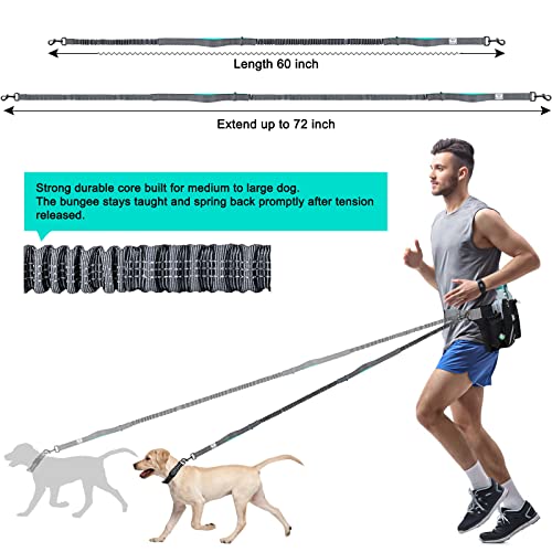 Retractable Hands Free Dog Leash with Dual Bungees for 2 Dogs (Blue/Black)