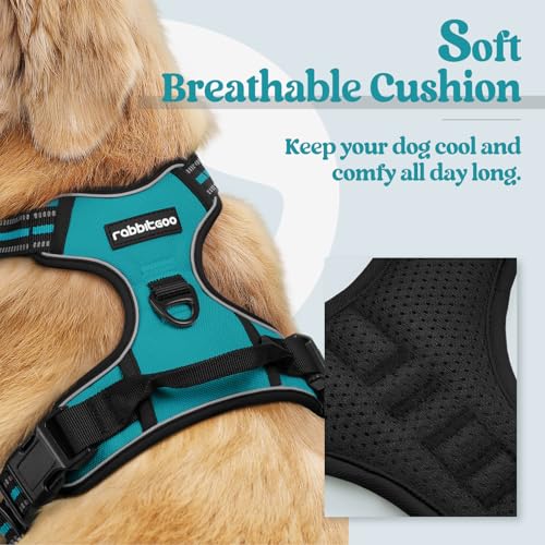Dog Harness No Pull with 2 Leash Clips (Large / Teal)