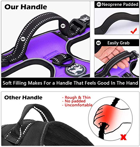 No Pull Dog Harness Medium with Front Clip & Neck Release Buckle (Medium / Purple)