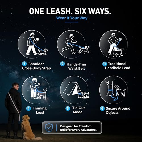 Hands Free Dog Leash (6–9.5 ft / Blue)