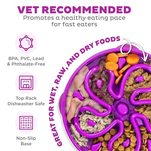 Fun Feeder Slo Bowl (Purple / Large)