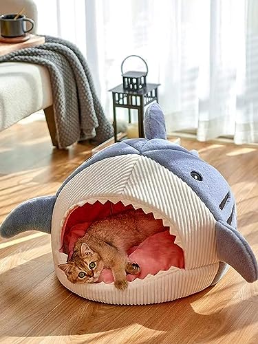 Cat Mat Shark (Small / Blue)