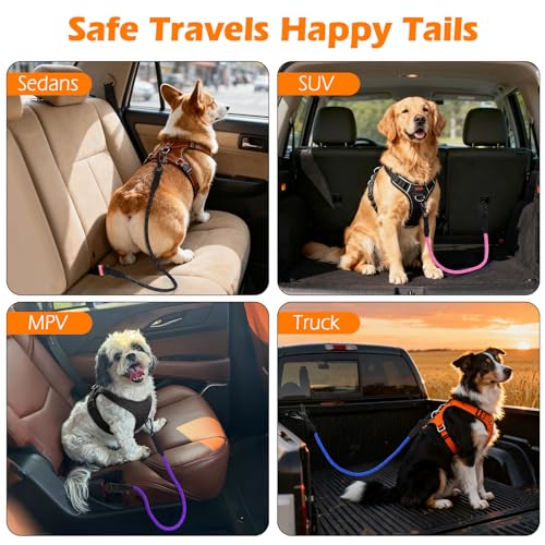 Dog Seat Belt for Car (Purple / 1 Pack)