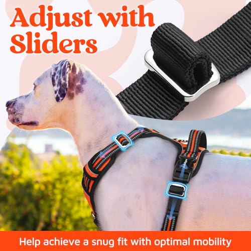 Dog Harness Small Sized (Orange / Small)