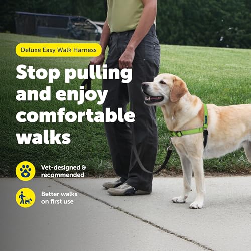 Deluxe Easy Walk No Pull Dog Harness (Medium/Large / Apple Green)