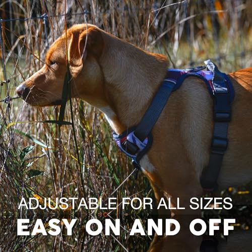 Embark No Pull Dog Harness (L / Santa Monica)