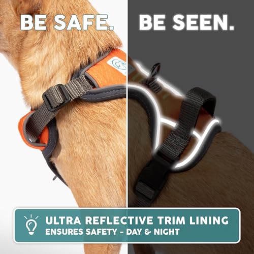 Embark No Pull Dog Harness (S / Orange)