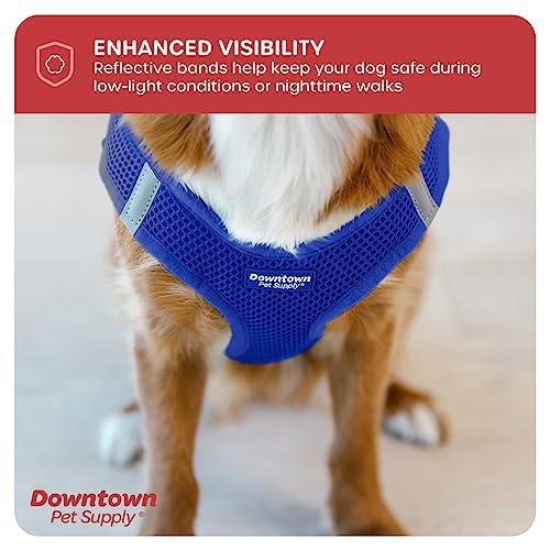 Step in Dog Harness for Teacup Dogs & Cats No Pull (XX-Small / Blue)