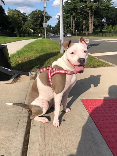 4 Colors Soft & Comfy 3M Reflective Jacquard Padded Dog Harness (Small(16.5" - 21") Chest Girth / Marsala Red)