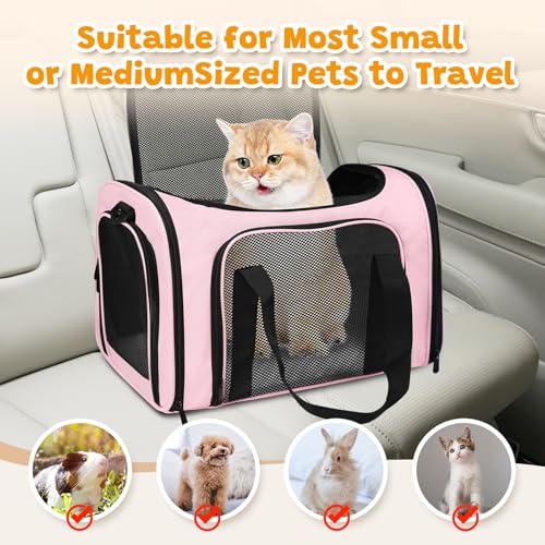 Cat Carrier Soft Up to 16 Lbs (17.0"L x 11.0"W x 11.0"H / Pink)