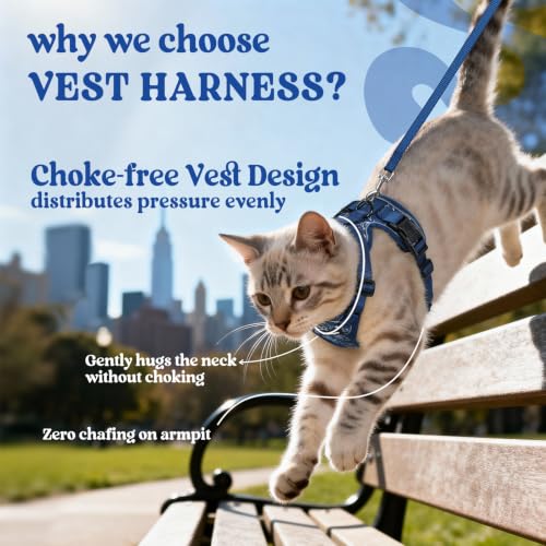 Cat Harness and Leash Set (S / Cosmic Ace)