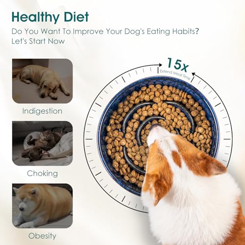 Slow Feeder Dog Bowl (M - 1.5 Cups / Blue)