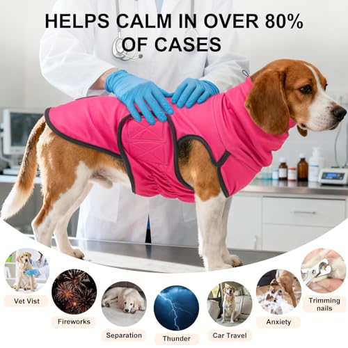 Reversible Dog Anxiety Vest (Medium(Chest:19") / Rose)