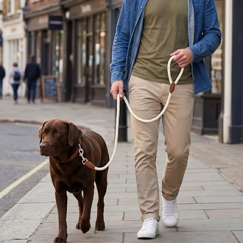Dog Leash Braided Cotton Rope with Leather (Cream White / 72 Inch-1/2")