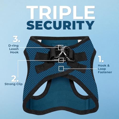 Voyager Step in Air All Weather Mesh Harness and Reflective Dog 5ft Leash Combo with Neoprene Handle (Blue/Black Trim / M (Chest: 16 - 18"))