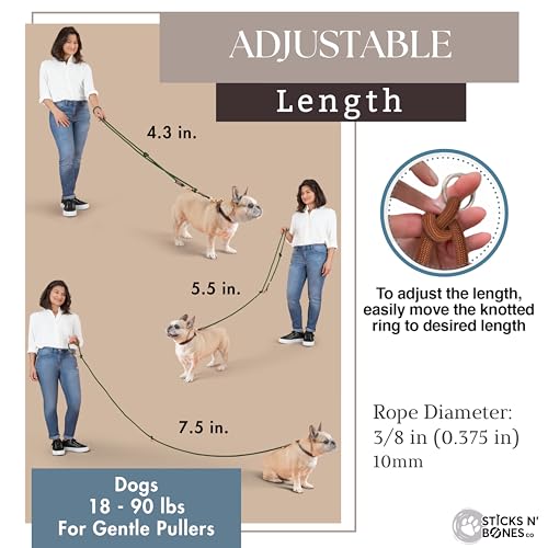 Hands Free Dog Leash (Red / 8.2 ft x 3/8 in)