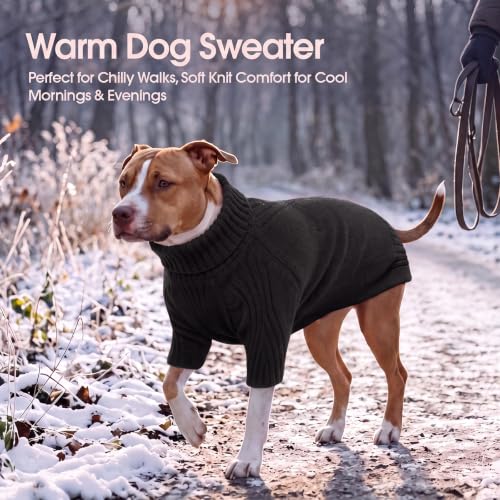 Great Dane Sweater (Black / XXXX-Large)
