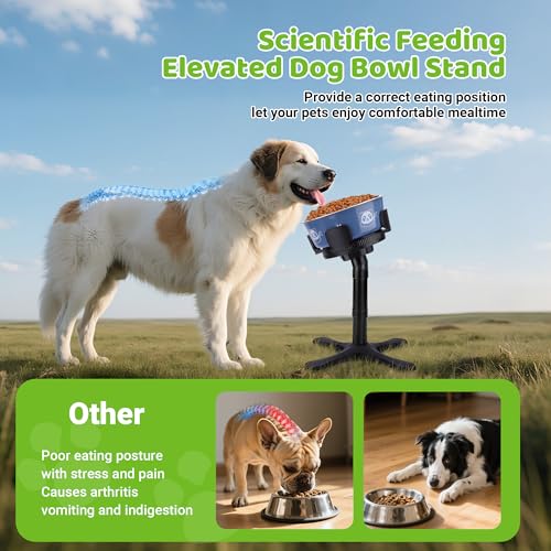 Dog Bowls Elevated Adjustable Stand (Dog Bowl Stand 2 Pack)