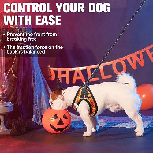 Halloween Dog Harness Medium Sized and Leash Set (XSmall(Chest Girth 13" - 14.5") / Halloween)