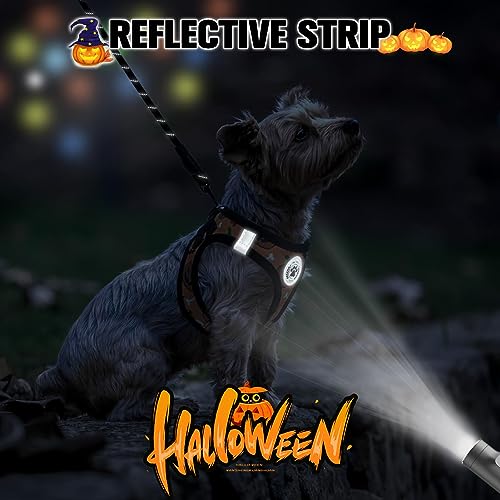 Halloween Dog Harness Medium Sized and Leash Set (XSmall(Chest Girth 13" - 14.5") / Halloween)