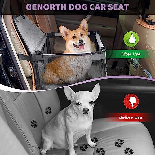 Small Dog Car Seat