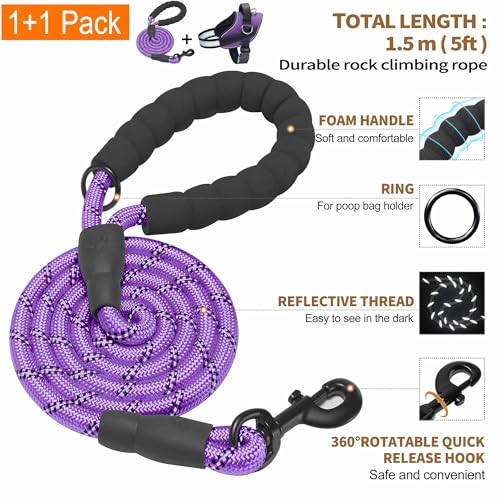 Essential Dog Harness (M / Purple)